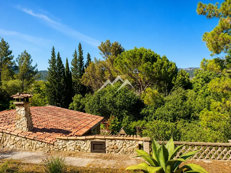 Charming finca just 2 minutes from Puigpunyent — photo 7