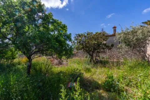 Detached house — photo 12