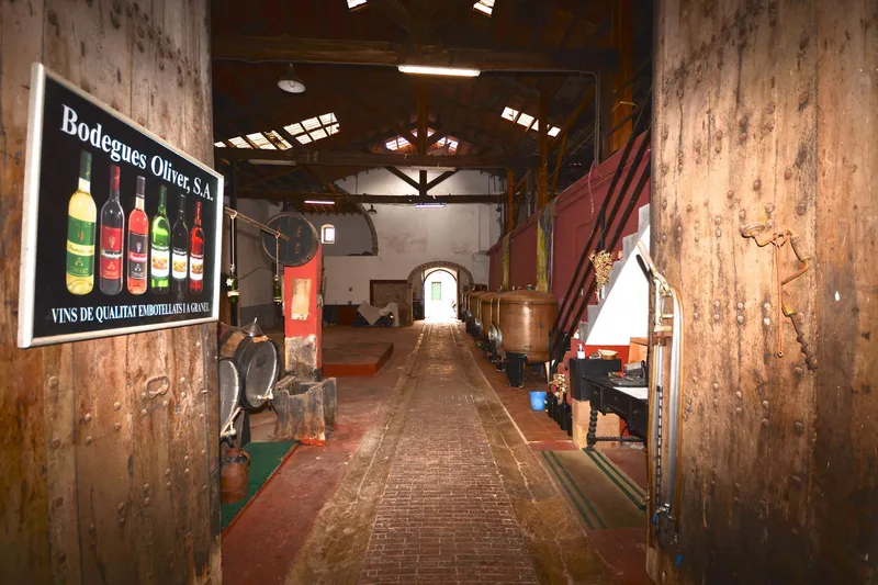 Historic winery in Binissalem: Tradition and Investment Opportunity — photo 2