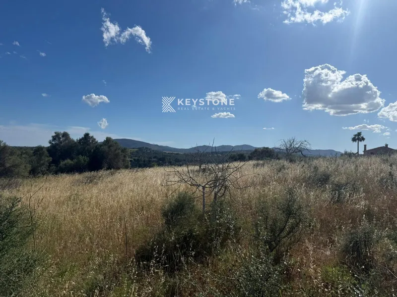 Plot — photo 7