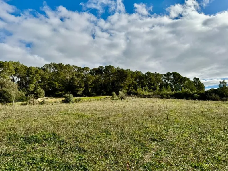 Land in Lloret de Vistalegre, Province of Balearic Islands — photo 9