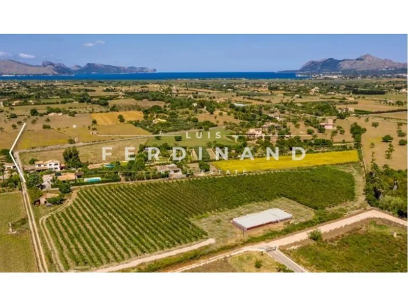 Luxury home in Pollença, Province of Balearic Islands — photo 4