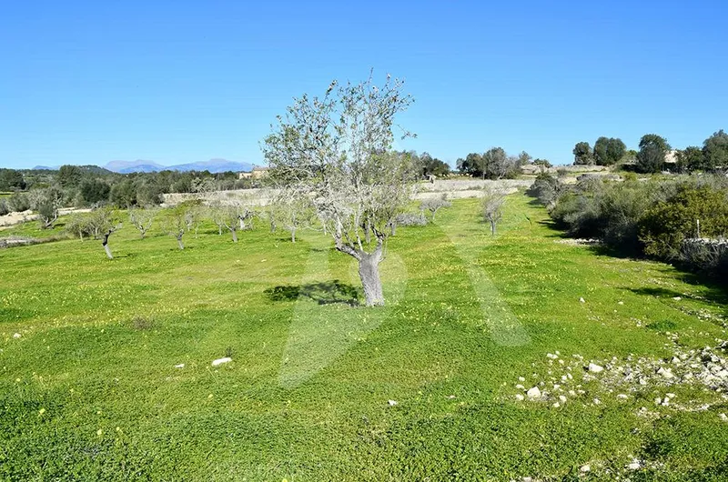 Fantastic building plot with project and planning permission — photo 4
