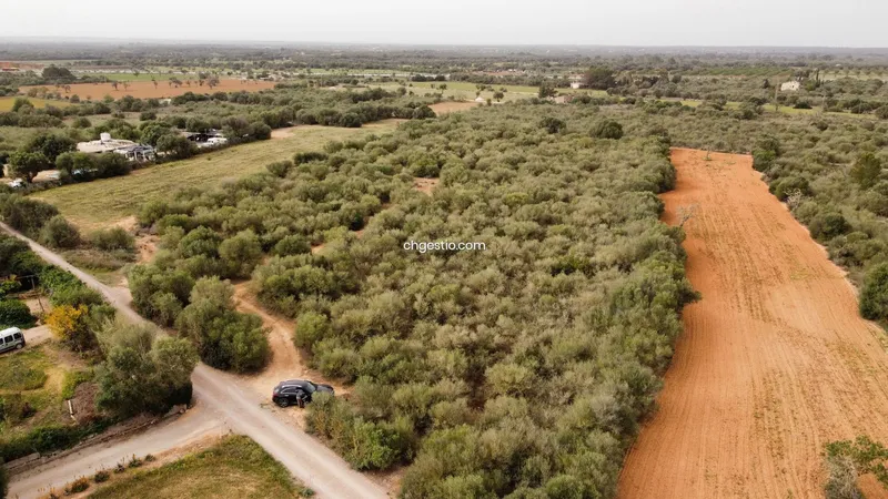 Plot in Campos — photo 4
