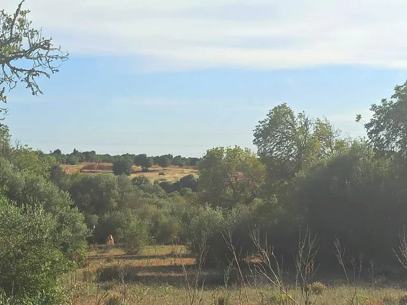 Country building plot of 77,648 m² in Son Gual area with building license, Palma — photo 5