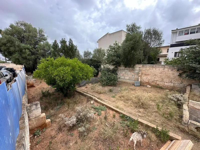Plot in Muro — photo 3
