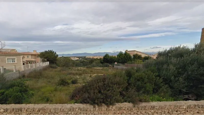 Plot of 1000m2 in Sa Torre, on the south of Mallorca — photo 2