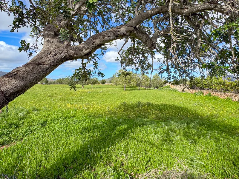 Beautiful property in a good location! — photo 6