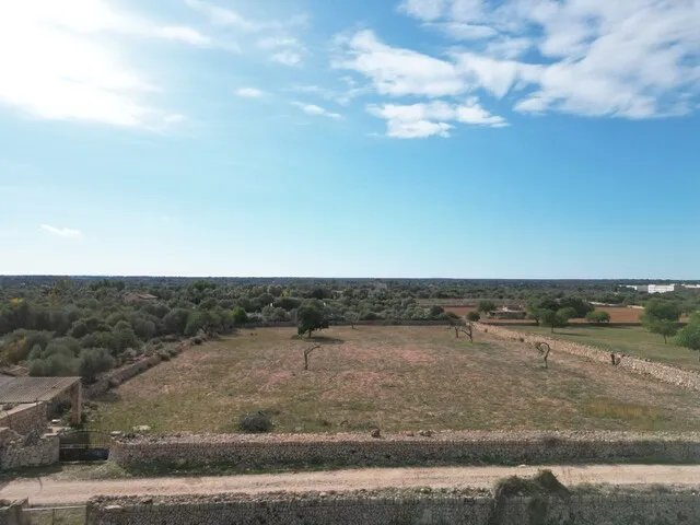 Countryside Plot with License and Project in Llucmajor, South Mallorca — photo 1