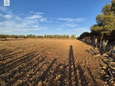 Rustic property in Muro, 140 m² built, 18,400 m² plot, 1 room, 1 bathroom — photo 3