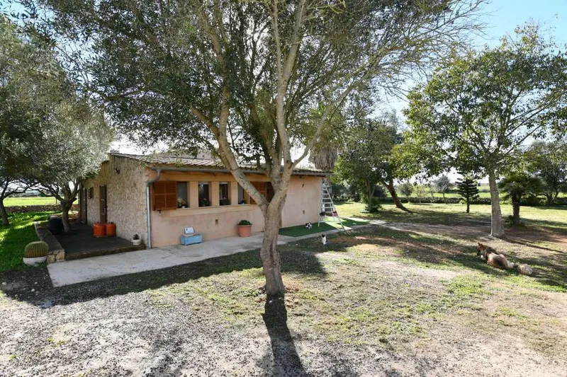 Cozy self-sufficient country house with the possibility of building a pool in Felanitx — photo 4