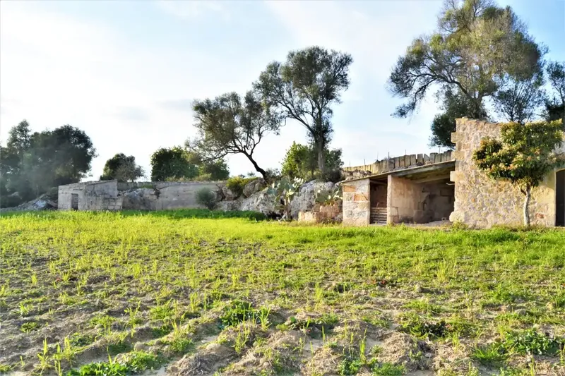 Set of three rustic plots on common rustic land, agricultural interest area of 22547 m2 located in one of the most beautiful areas of — photo 12