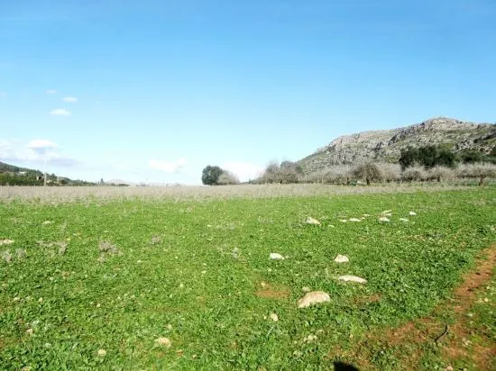 Nice finca near Alcudia with views, 135,000 m², very big, with possibility to build a villa — photo 2
