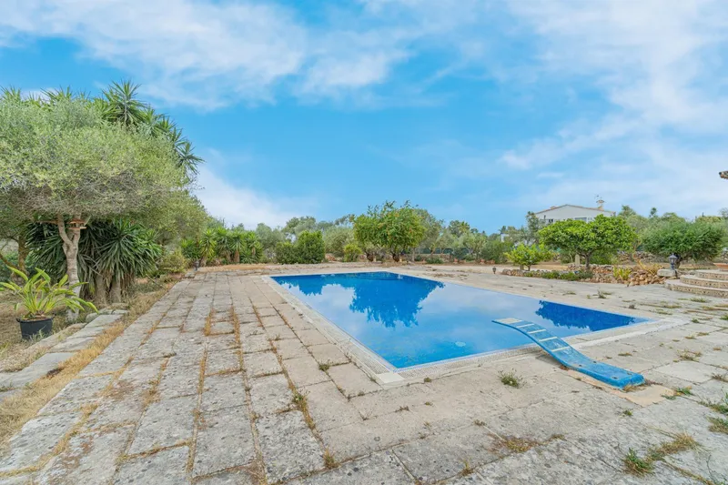 Farm with swimming pool — photo 6
