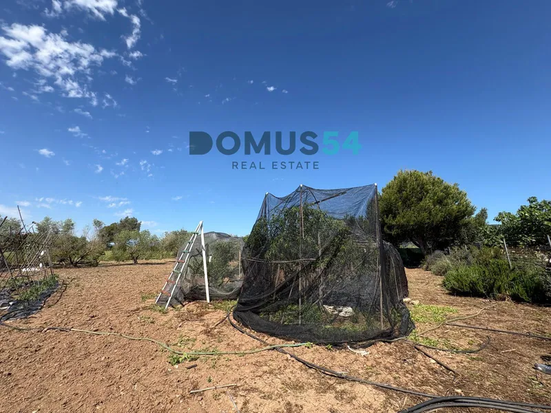 Unbuildable rural land with a shed in Sa Pobla — photo 2