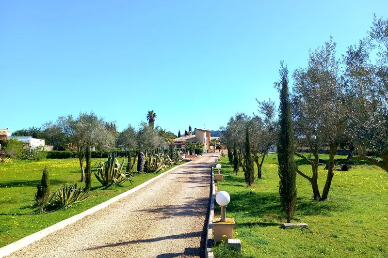 Attractive finca with guest apartment, pool, BBQ area & southwest orientation — photo 6