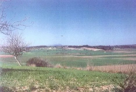Characteristic Mallorcan finca with grand views in Felanitx — photo 6