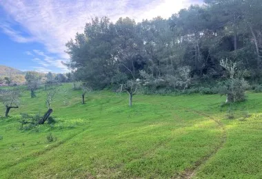 Terreno en Felanitx — photo 1