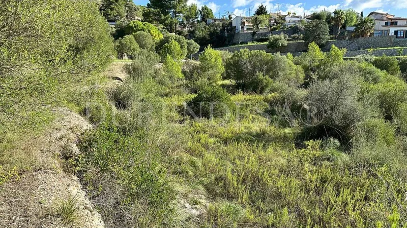 Plot for sale — photo 5