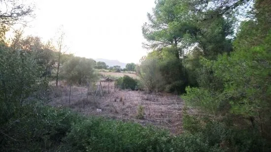 Finca in Mal Pas — photo 1