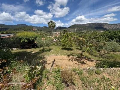 Urban Plot of Land - Puigpunyent (Puigpunyent) — photo 10