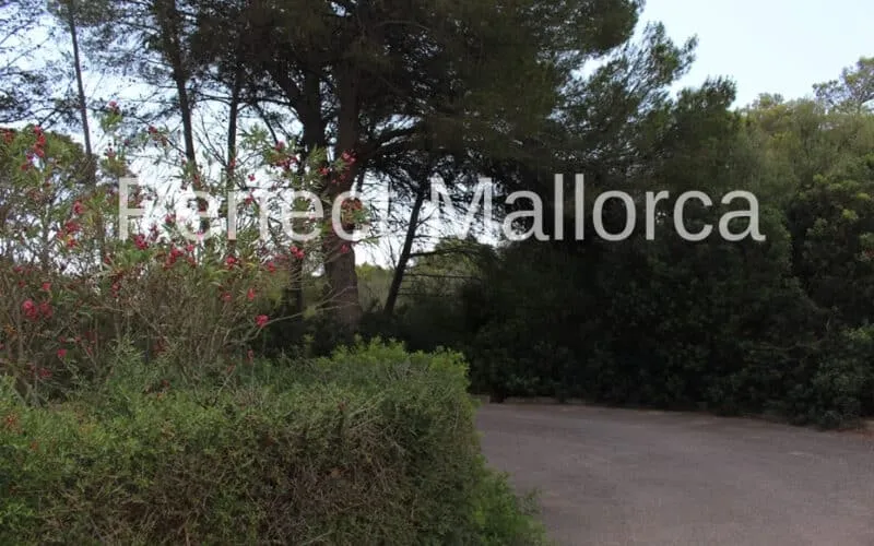 Building plot in a quiet cul-de-sac — photo 4