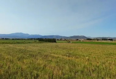 Charming rustic finca in Muro - Your natural refuge awaits! — photo 4