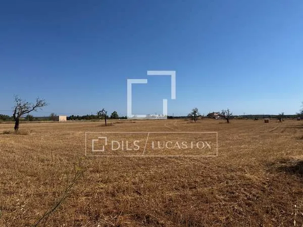 19,544m² plot with 19,544m² garden for sale in Campos — photo 11