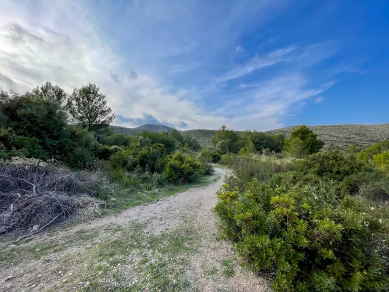 Exceptional buildable rustic plot with sea views — photo 4