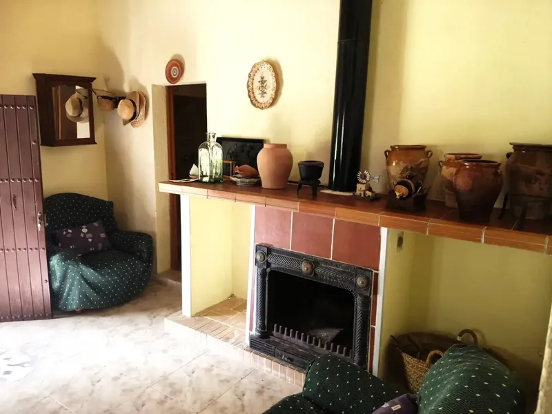 Beautiful finca in Sa Pobla, with 3300 m2, and house of 56 m2, with 1 bedroom, bathroom, living-dining room with fireplace, and kitchen, no electricity, works — photo 6