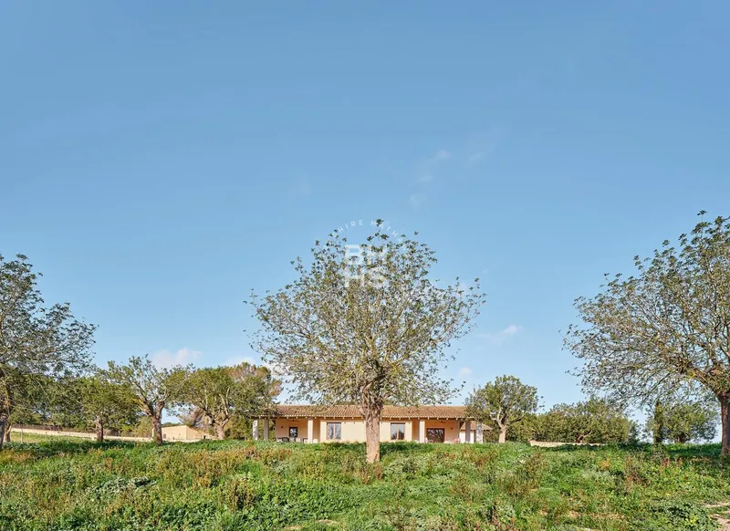 Villa to rent in Randa — photo 4