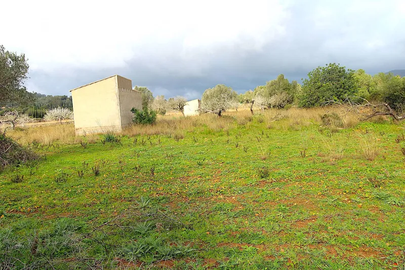 F1 - Finca for sale with two — photo 3