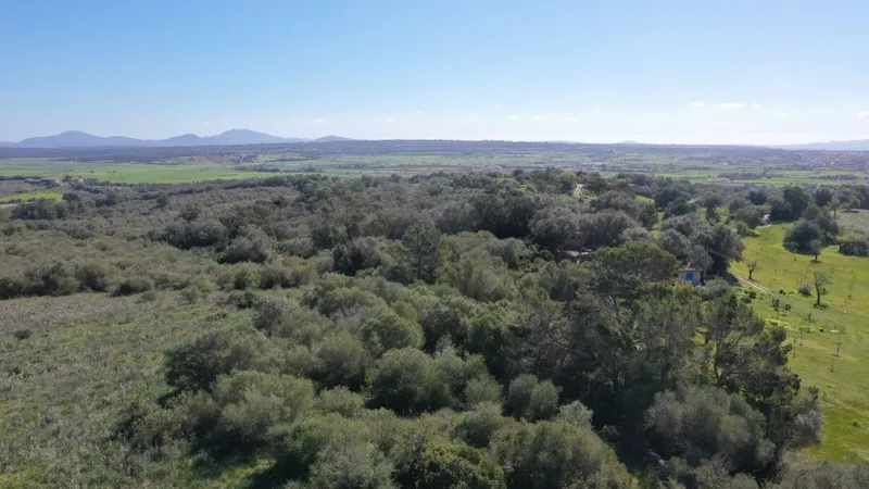Set of 3 plots with impressive views and a total of approx 252,609m2 in Petra — photo 4