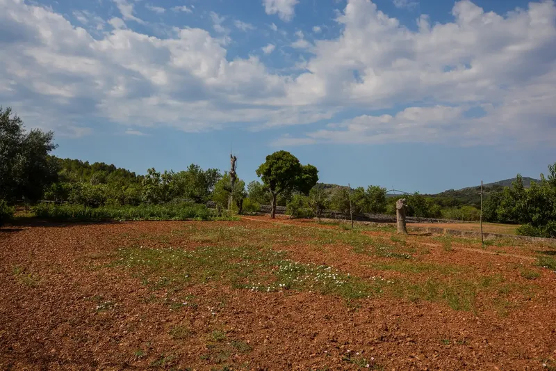Here, rural isolation and an absolutely quiet location on a magnificent plot combine with quick access to the nearby countryside — photo 9