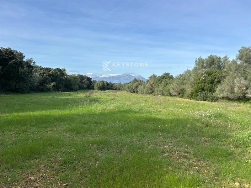Plot — photo 12
