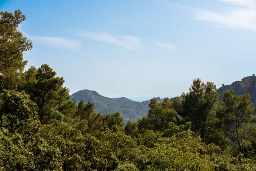 Puigpunyent, a hidden jewel in the heart of the Tramuntana mountains — photo 2