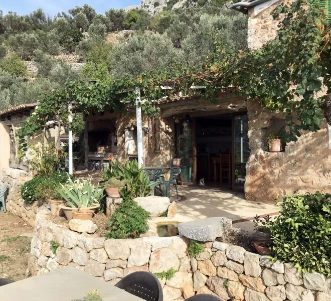 Olivar in Fornalutx area with beautiful stone house — photo 1